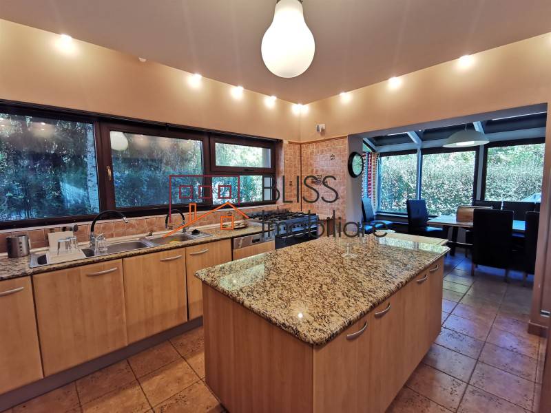 6-bedroom Villa With Garden Iancu Nicolae for Rent, Bucharest / Ilfov | Bliss Imobiliare / Photo 10 - BLISS Imobiliare