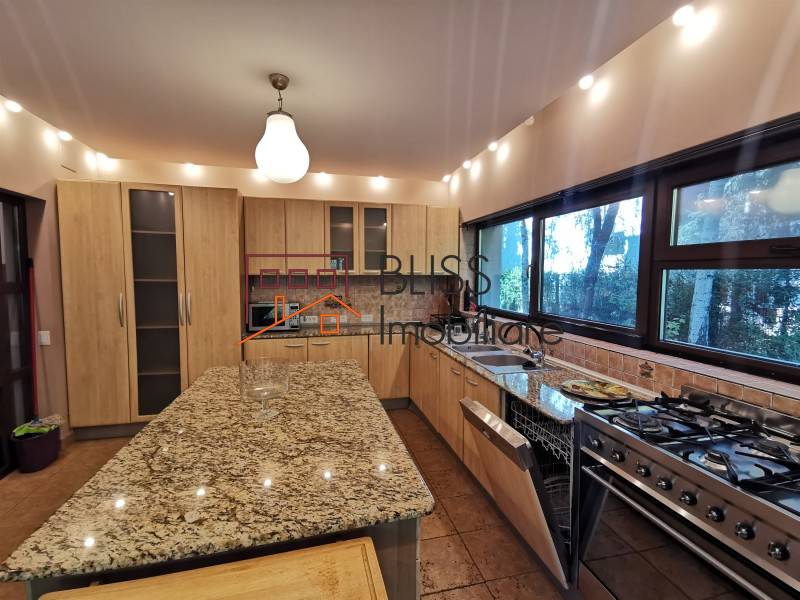 6-bedroom Villa With Garden Iancu Nicolae for Rent, Bucharest / Ilfov | Bliss Imobiliare / Photo 11 - BLISS Imobiliare
