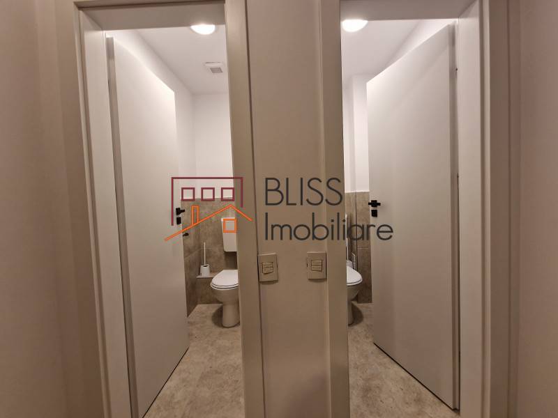 Spatiu Birouri In Piata Muncii-Decebal | Bliss Imobiliare / Photo 17 - BLISS Imobiliare