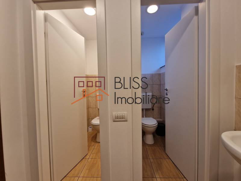 Spatiu Birouri In Piata Muncii-Decebal | Bliss Imobiliare / Photo 37 - BLISS Imobiliare
