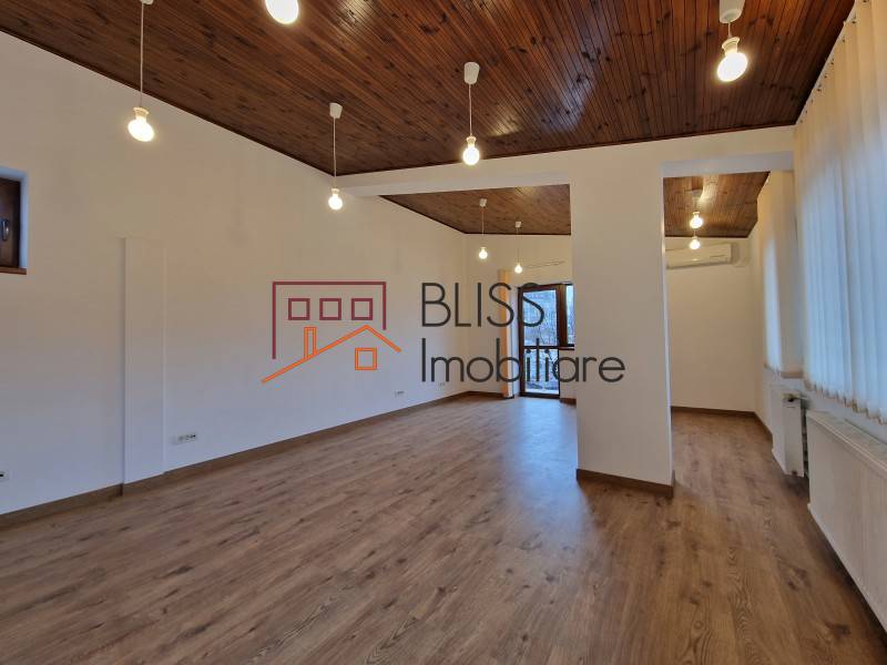 Spatiu Birouri In Piata Muncii-Decebal | Bliss Imobiliare / Photo 49 - BLISS Imobiliare