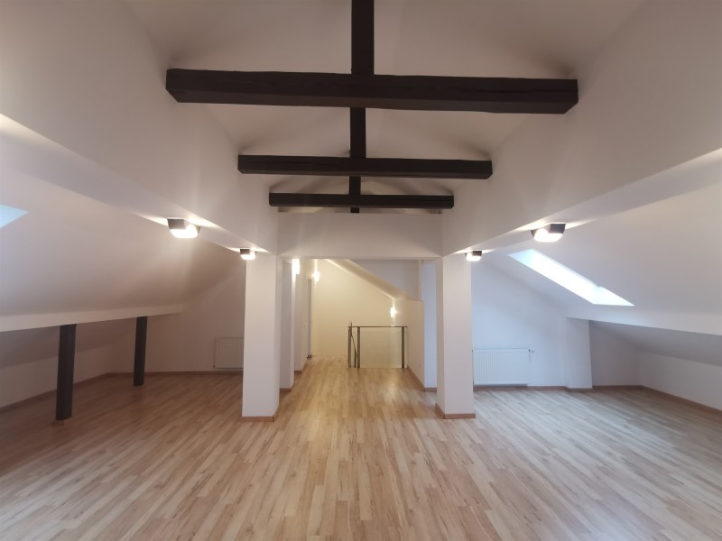 Vila Complex Iancu Nicolae | Bliss Imobiliare / Photo 28 - BLISS Imobiliare