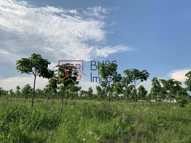 Photo 11 - BLISS Imobiliare