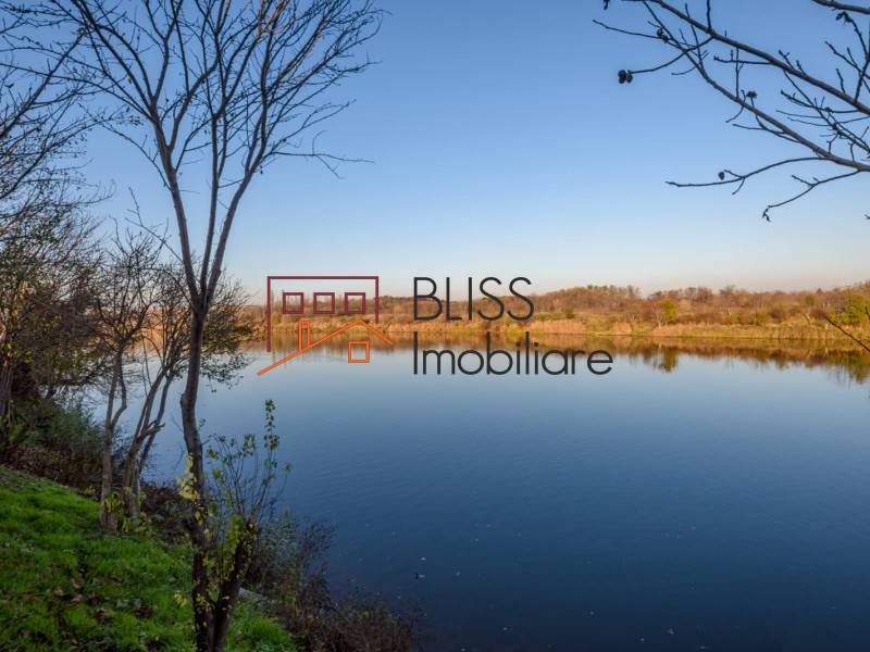 Vila Cu 3 Camere, Cu Vedere Lac Si Curte Spatioasa In Buftea | Bliss Imobiliare / Photo 21 - BLISS Imobiliare