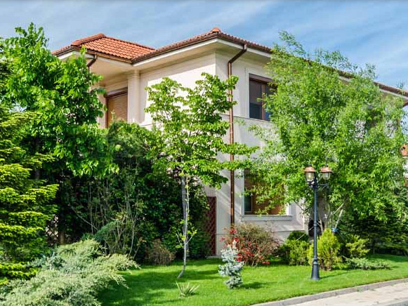 Photo 3 - BLISS Imobiliare