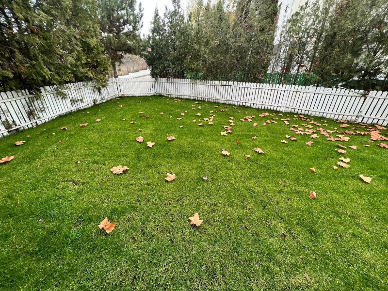 Vila Premium Cu 7 Camere In Pipera | Bliss Imobiliare / Photo 2 - BLISS Imobiliare