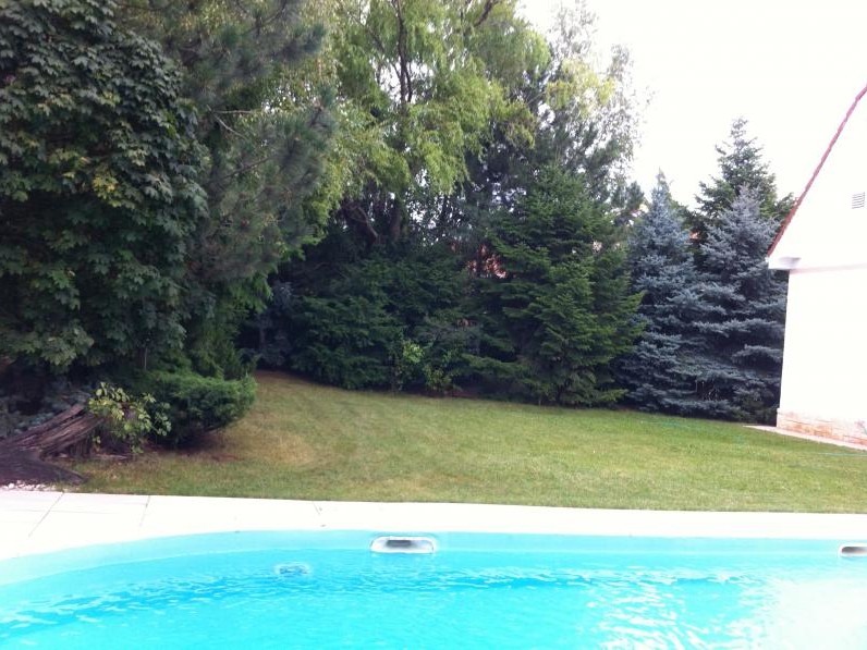 Vila Cu 6 Camere | Bliss Imobiliare / Photo 6 - BLISS Imobiliare