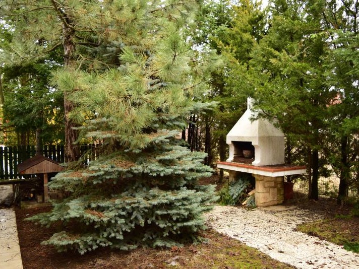 Furnished 4 Bedroom Villa, Bucharest / Ilfov | Bliss Imobiliare / Photo 8 - BLISS Imobiliare