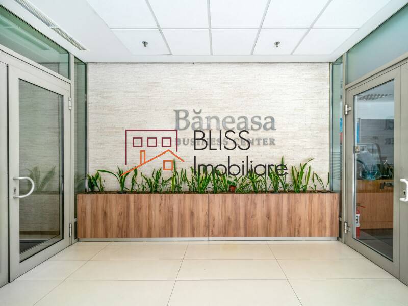 Spatiu De Birouri | Bliss Imobiliare / Photo 5 - BLISS Imobiliare