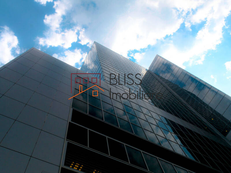 Spatiu De Birouri | Bliss Imobiliare / Photo 2 - BLISS Imobiliare