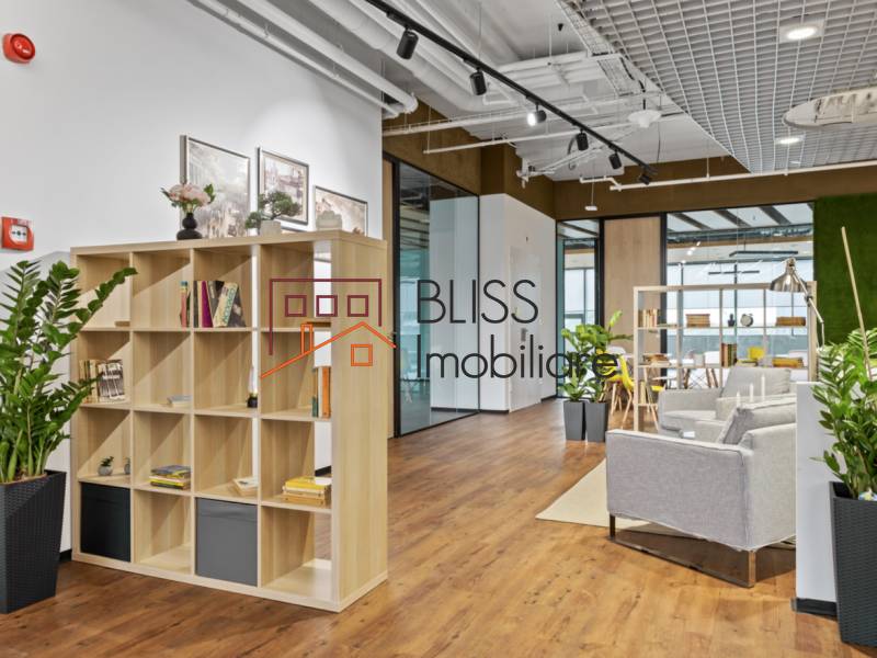 Spatiu De Birouri All-inclusive | Bliss Imobiliare / Photo 15 - BLISS Imobiliare