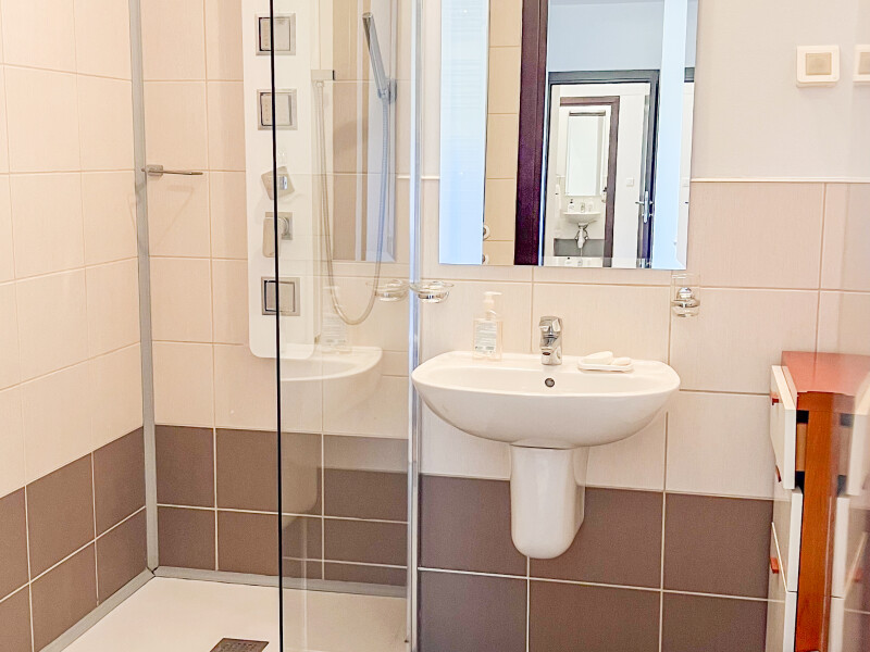 Comfort & Family Facilities, Bucharest | Bliss Imobiliare / Photo 12 - BLISS Imobiliare