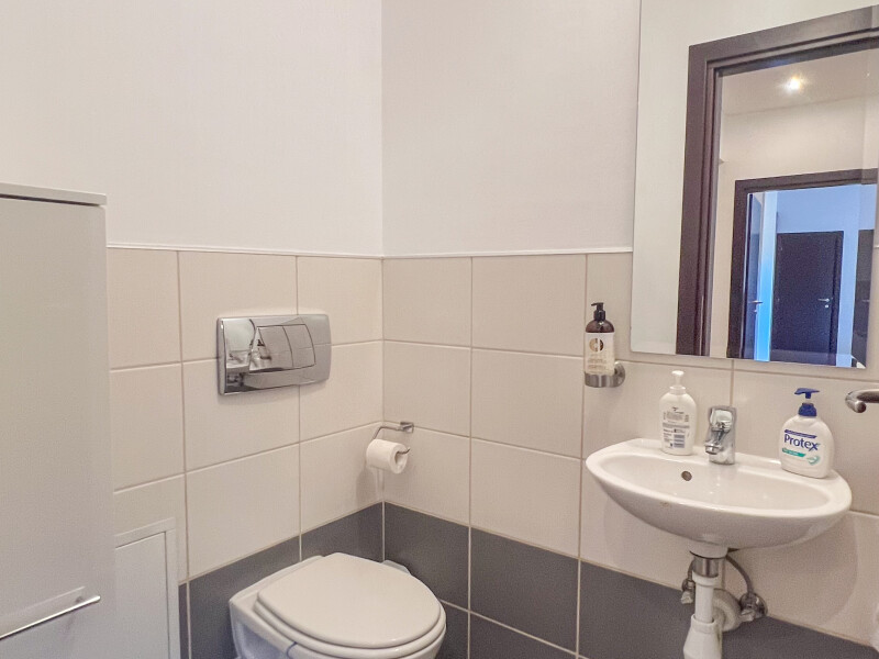 Comfort & Family Facilities, Bucharest | Bliss Imobiliare / Photo 19 - BLISS Imobiliare