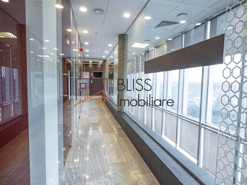 Spatiu De Birouri | Bliss Imobiliare / Photo 6 - BLISS Imobiliare