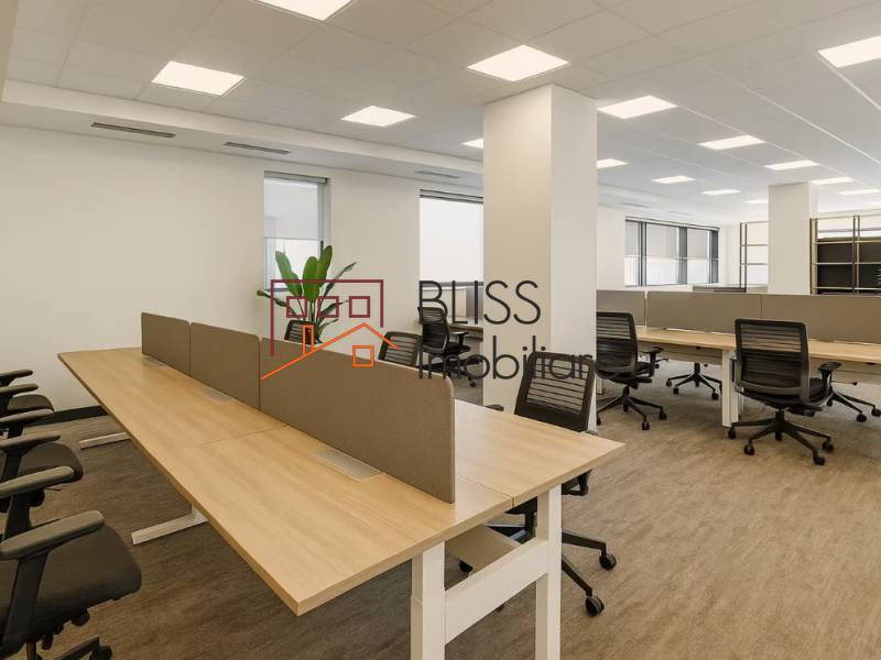 Spatiu De Birouri | Bliss Imobiliare / Photo 12 - BLISS Imobiliare