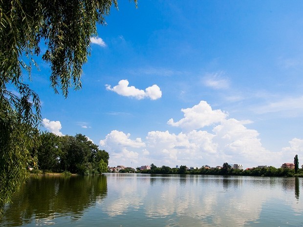 Photo 5 - BLISS Imobiliare