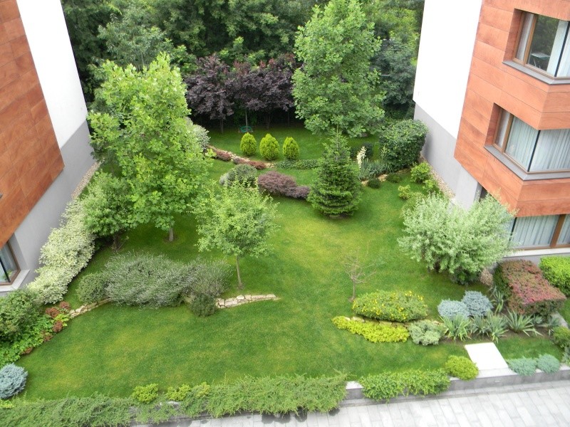 Photo 7 - BLISS Imobiliare