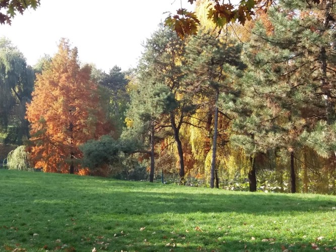 Photo 10 - BLISS Imobiliare