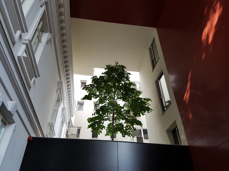 Photo 3 - BLISS Imobiliare