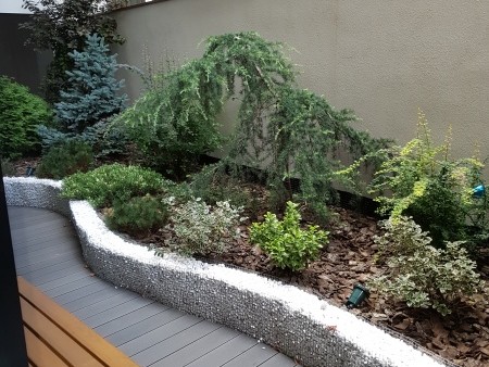 Photo 9 - BLISS Imobiliare