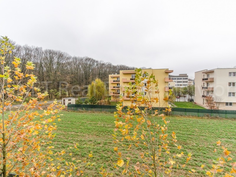 Photo 4 - BLISS Imobiliare