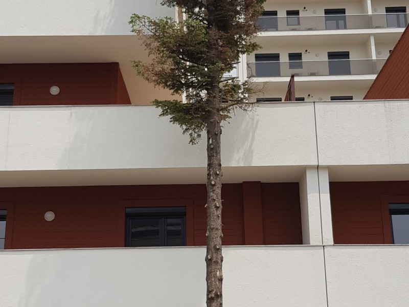 Photo 2 - BLISS Imobiliare