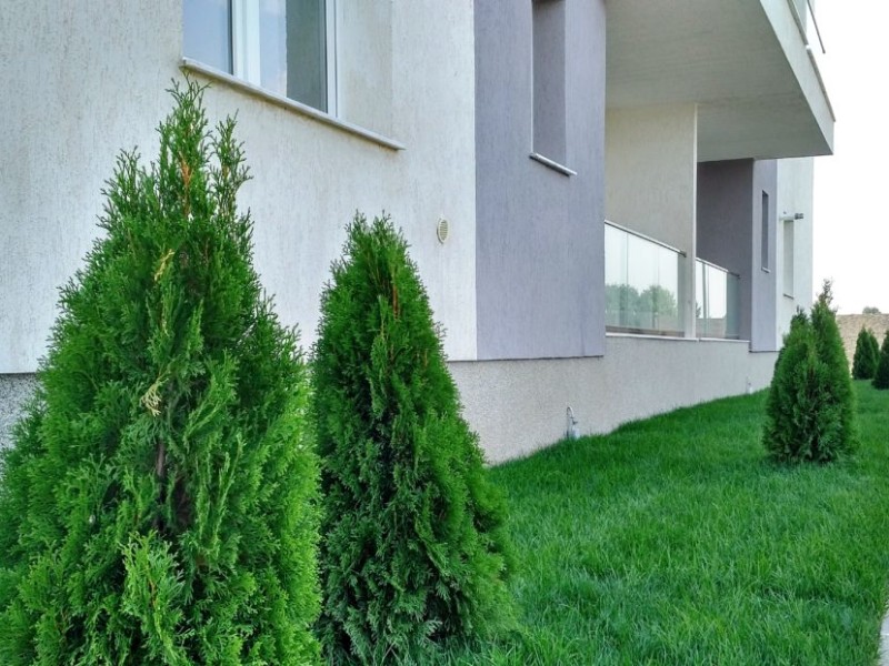 Photo 12 - BLISS Imobiliare