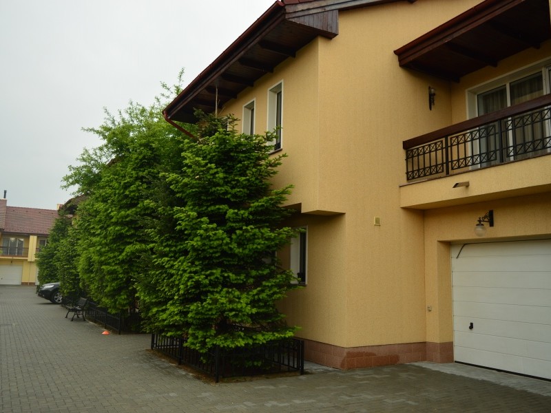 Photo 11 - BLISS Imobiliare