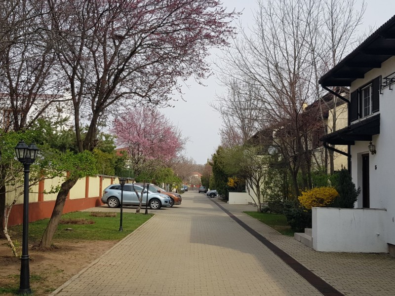 Photo 3 - BLISS Imobiliare