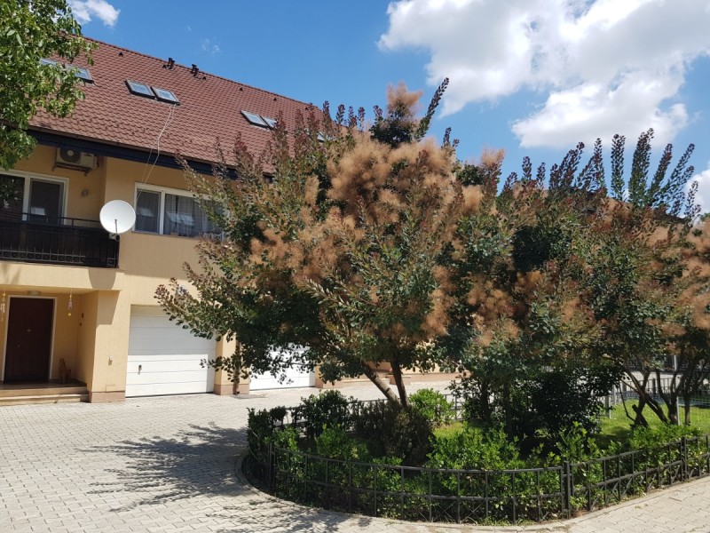 Photo 3 - BLISS Imobiliare