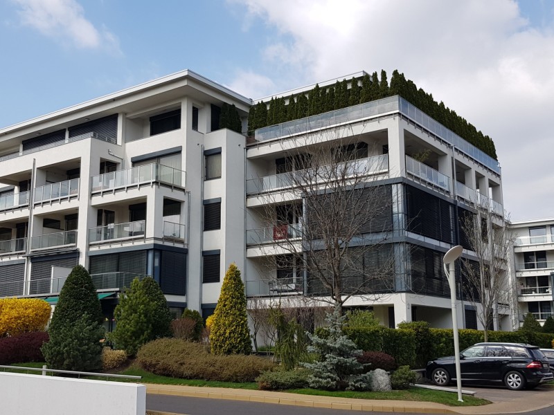 Photo 3 - BLISS Imobiliare