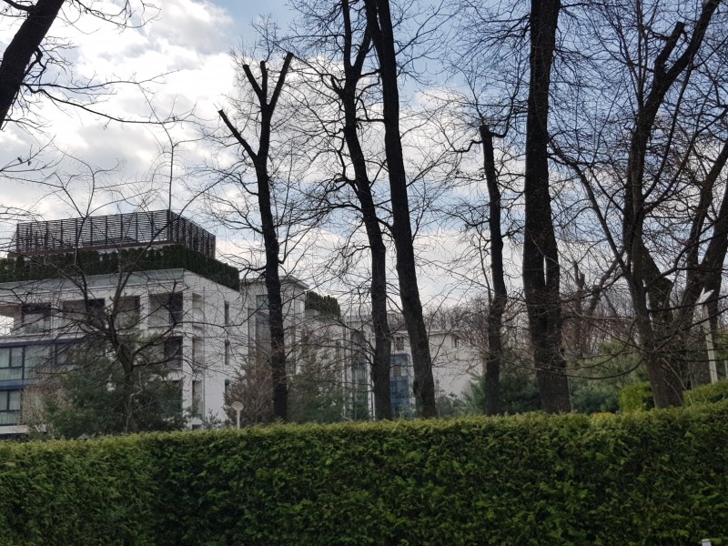 Photo 2 - BLISS Imobiliare