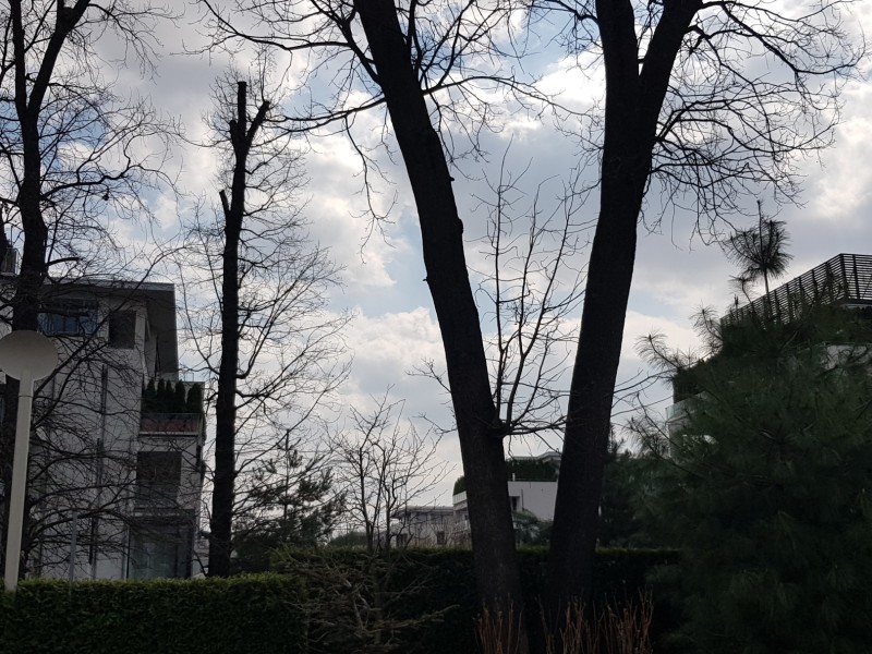 Photo 6 - BLISS Imobiliare