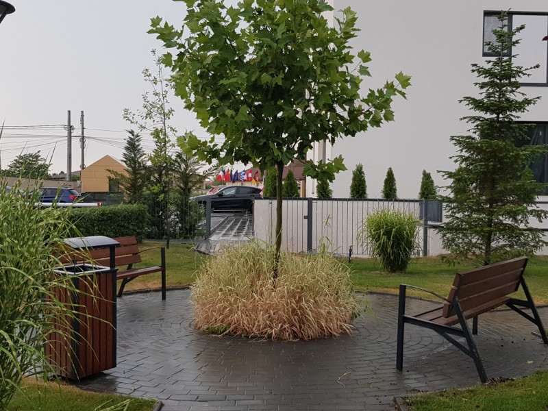 Photo 8 - BLISS Imobiliare