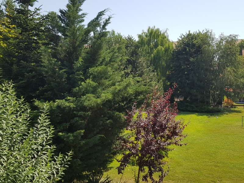 Photo 16 - BLISS Imobiliare