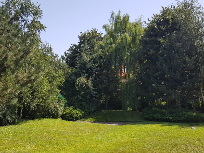 Photo 21 - BLISS Imobiliare