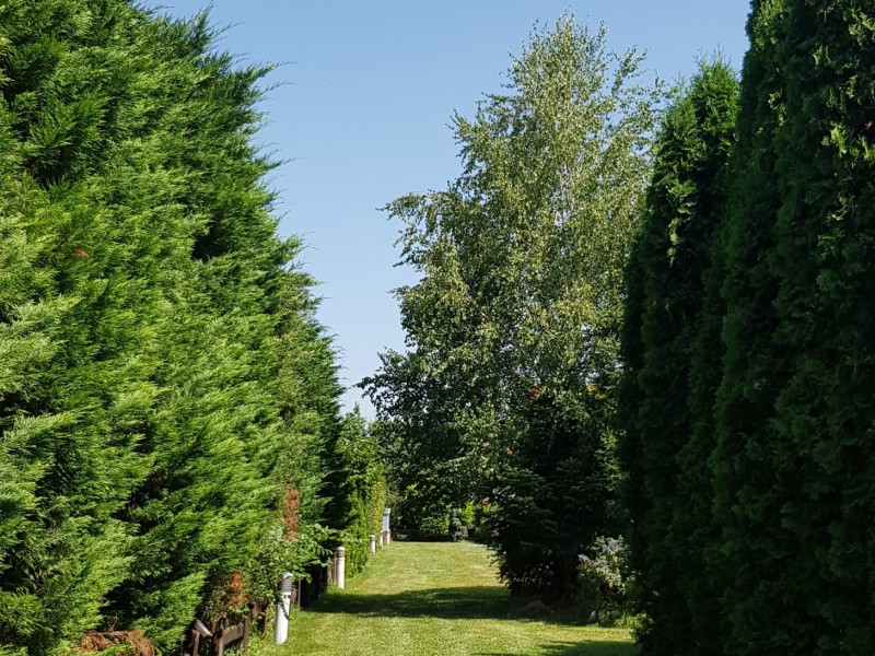 Photo 33 - BLISS Imobiliare