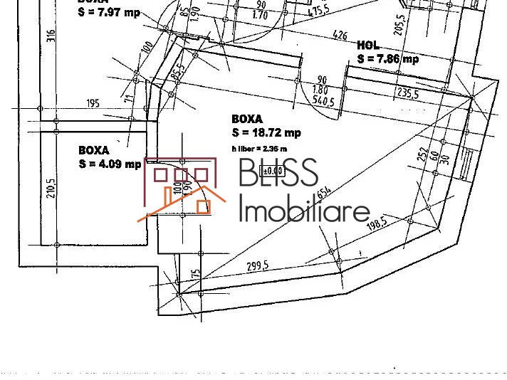 House / Villa, 14 Rooms, Bucharest | Bliss Imobiliare / Photo 38 - BLISS Imobiliare