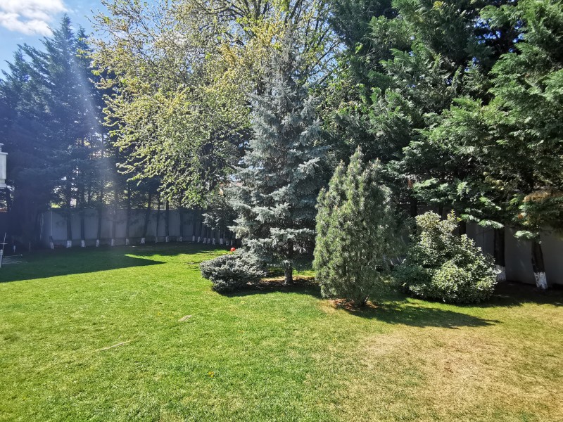 Photo 17 - BLISS Imobiliare