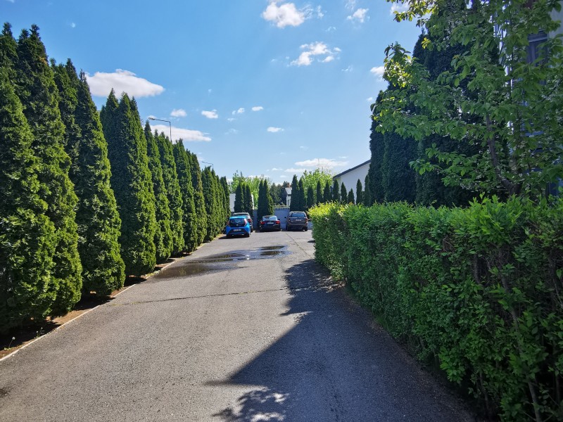 Photo 19 - BLISS Imobiliare