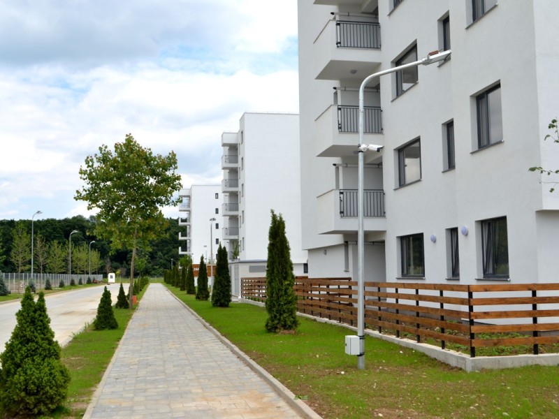 Photo 10 - BLISS Imobiliare