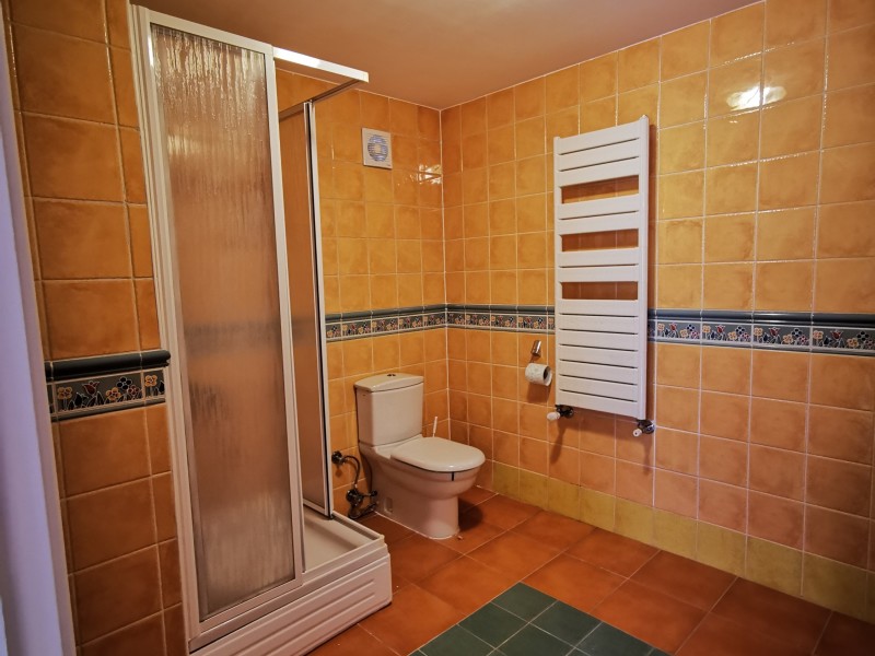 Spacious 5 Bedroom Villa, Bucharest / Ilfov | Bliss Imobiliare / Photo 43 - BLISS Imobiliare