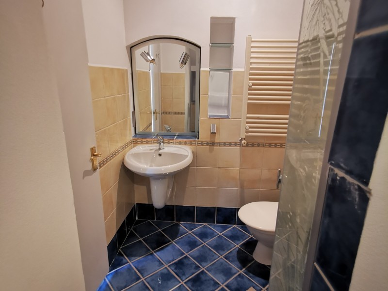 Spacious 5 Bedroom Villa, Bucharest / Ilfov | Bliss Imobiliare / Photo 52 - BLISS Imobiliare