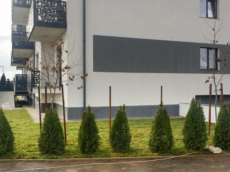 Photo 4 - BLISS Imobiliare