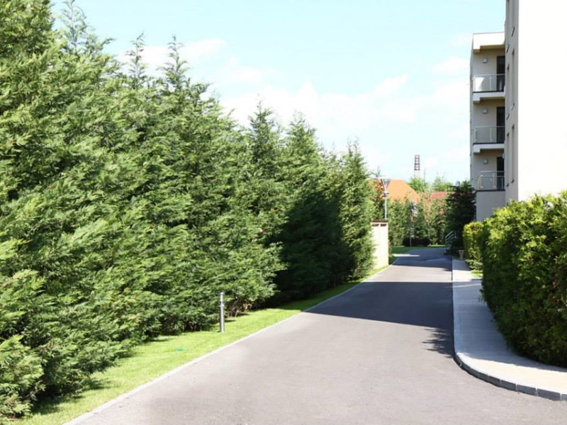 Photo 23 - BLISS Imobiliare