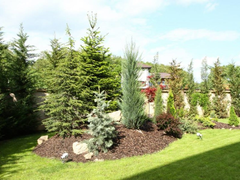 Photo 25 - BLISS Imobiliare