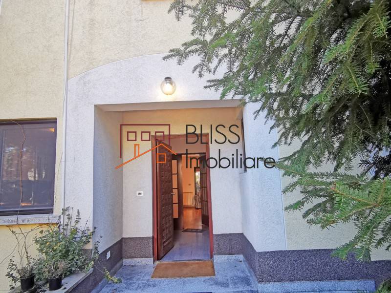 5 Bedroom Villa Iancu Nicolae for Rent, Bucharest / Ilfov | Bliss Imobiliare / Photo 8 - BLISS Imobiliare