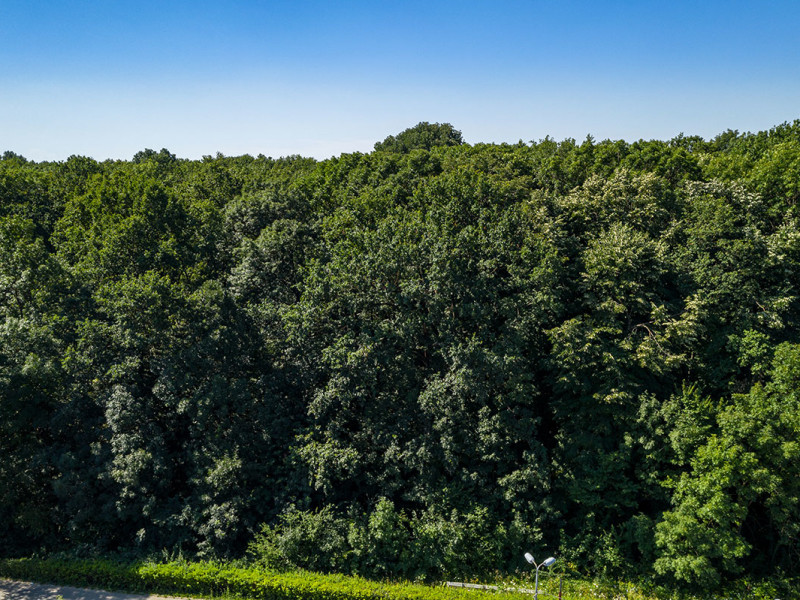 Photo 3 - BLISS Imobiliare