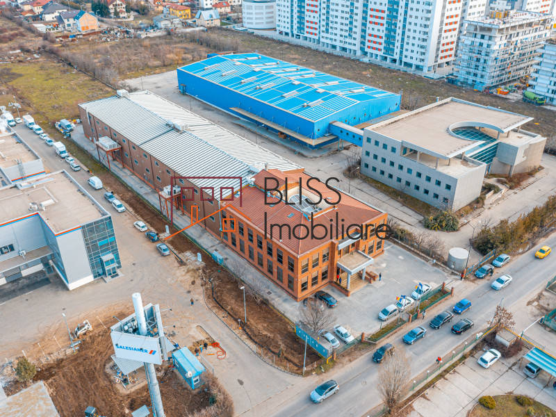 Spatiu De Productie Cu Birouri In Militari | Bliss Imobiliare / Photo 3 - BLISS Imobiliare