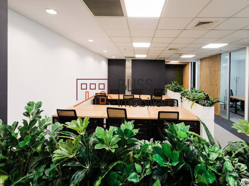 Photo 6 - BLISS Imobiliare